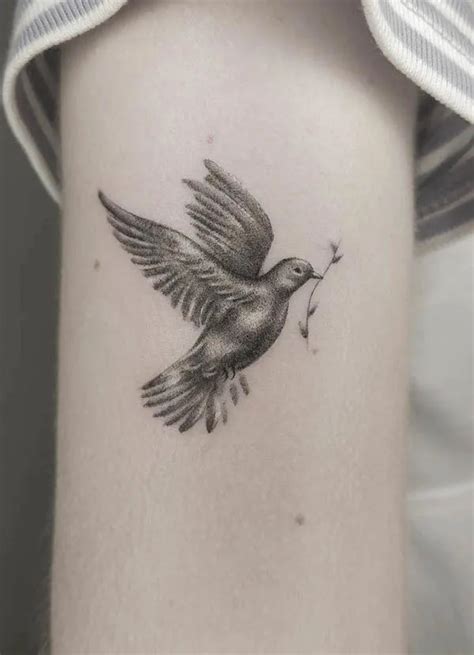 dove tattoos|detailed dove tattoos.